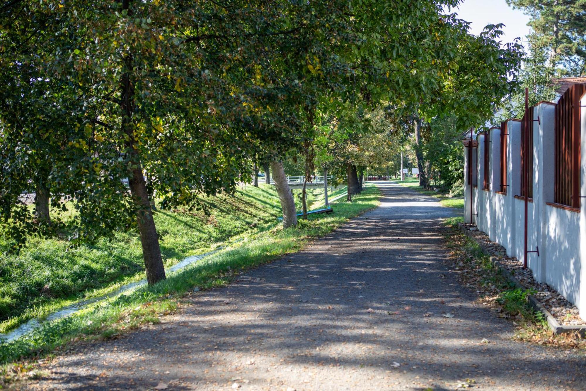 Dolní Dunajovice Penzion Lederer מראה חיצוני תמונה